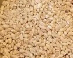 Pearled Barley for a rich soup!