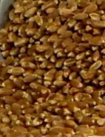 Load image into Gallery viewer, Wheat Berries